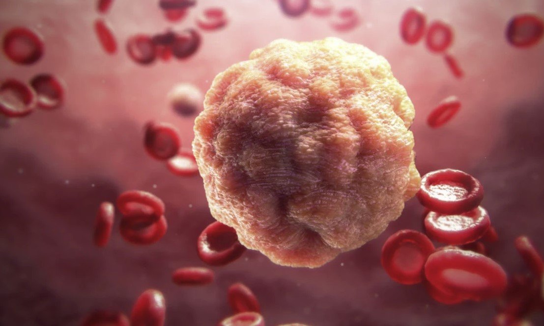 Cell and Gene Biology Animations